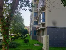 东方美谷产业区 15号线南延伸 精装南北户型