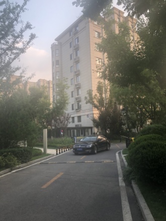 金科王府