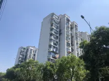 电梯高区+南北两房+小区环境好+近中环