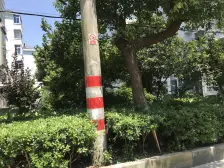 【需求房间多的看过来】新场复式+五房