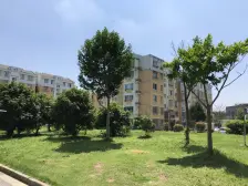 盛世春晓苑 2室1厅 南 北