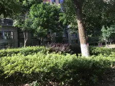 店长推荐,业主诚意出售 ,大两房,位置好,楼层高