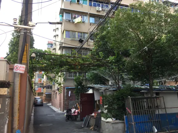 东柏果园