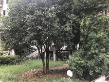 华山公寓2室2厅东南