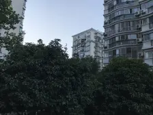 莘庄·上海康城三期维园道·3室·2厅