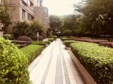 小高层一房两厅,品质小区 看房方便