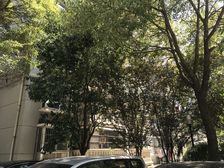 精装满五,产权清晰新上房源