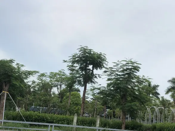 新锦安壹号公馆