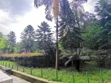 西南医院 一步之遥 电梯大四房