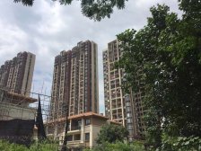 高步桥l临江光大江与城,独栋,带大花园,带电梯