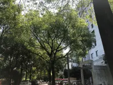 静安近中环+精装修+边套全明+诚意出售+小区环境好