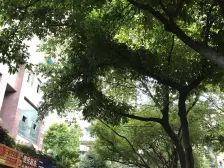 正规三房+保养的还可以+价格有点趴+洪崖洞