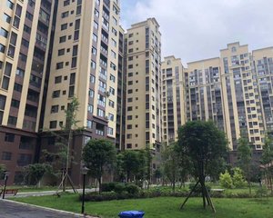 上水云锦3室2厅东南