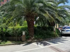 近地铁 通风好 采光好,家具全送 必看好房