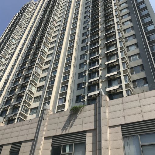 白茂山路28号2室1厅1卫南朝向2300.00元/月出租
