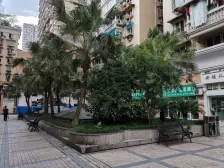 9号轨道 正规四房 带阳台 业主住家装修 可拎包入住