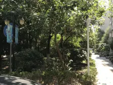 莘闵·新乐雅苑·1室·2厅