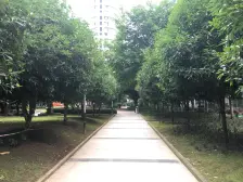 正规一室一厅,业主急售,急卖,急卖