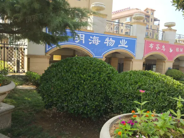 望岛名郡