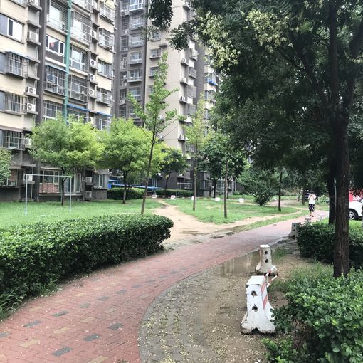 整租·新宫·南庭新苑南区·1室