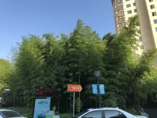 明中龙祥家园(公寓) 3室2厅 南 北