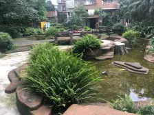 花卉园旁,精装一室诚心出售,欢迎咨询