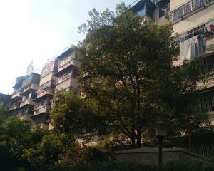 青山湖湖畔,湖东家园三区,黄金楼层,采光好,视野好。