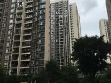 户型方正,小区安静不吵,交通便利