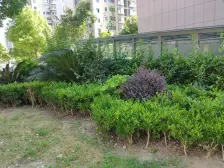 金海社区 地铁沿线 中间楼层 嘉园坊 随时可看