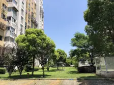 曹路·舜峰家苑·1室·1厅