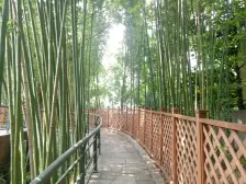 大平层,南北通透,主卧朝南,品质小区,近地铁,现代风格,房型正气,采光充足