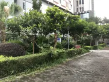 红土地双轻轨 精装一室 业主诚心出售