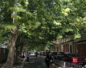 保利海德公园1室1厅西北