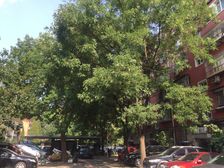 精装三居东边户,南北通透明厨明卫,德胜门双秀景观房