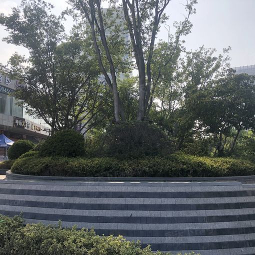 烟台莱山宝龙广场2室1厅北朝向1400.00元/月出租