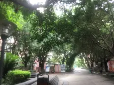 黄泥磅 皇冠东和三房140万