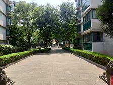 大型商场2号线地铁500米直达,楼King城市别墅