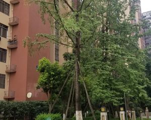 北新国际二期1室1厅西