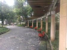 阳光华苑 3室2厅 南