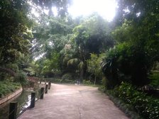 阳光华苑 3室2厅 东 西