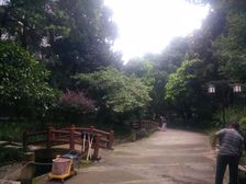 阳光华苑 2室2厅 北