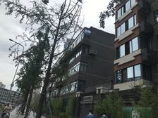 金河路42号 2室1厅 东 东南 南 西南 西 西北 北 东北