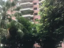 皇冠东和 4室1厅 东南