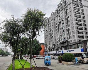 空港上辰2室1厅南