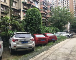 红房子2室1厅西南