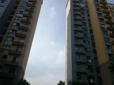 纯毛坯正四房,楼层位置好,采光好,诚心出售。