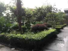 黄泥磅 浪漫满屋一房40万