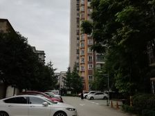 丰和日丽 3室1厅 北