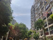 天台家园3室2厅南北