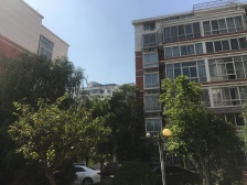 一层三户,户型方正,小区环境好,朝南采光充足